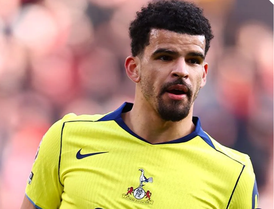Penyerang Tottenham Hotspur, Dominic Solanke. (Foto/doc. Spurs)