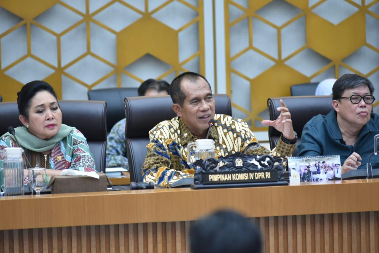 Wakil Ketua Komisi IV DPR  Abdul Kharis Almasyhari. (BeritaNasional/istimewa)