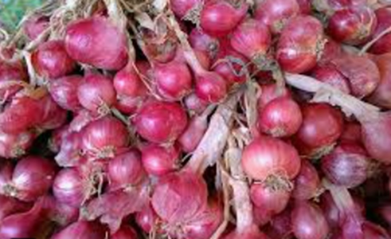 Pasokan bawang merah (Foto/Pixabay)