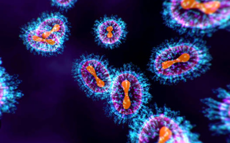 Virus Ebola berbahaya (Foto/Istock)