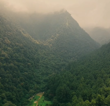 Gunung Puntang, Bandung. (BeritaNasional/IG Gunung Punyang ID)