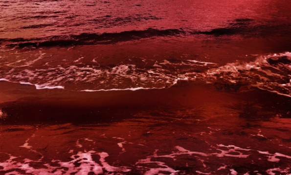 Ilustrasi Laut Merah. (Foto/Magnific)