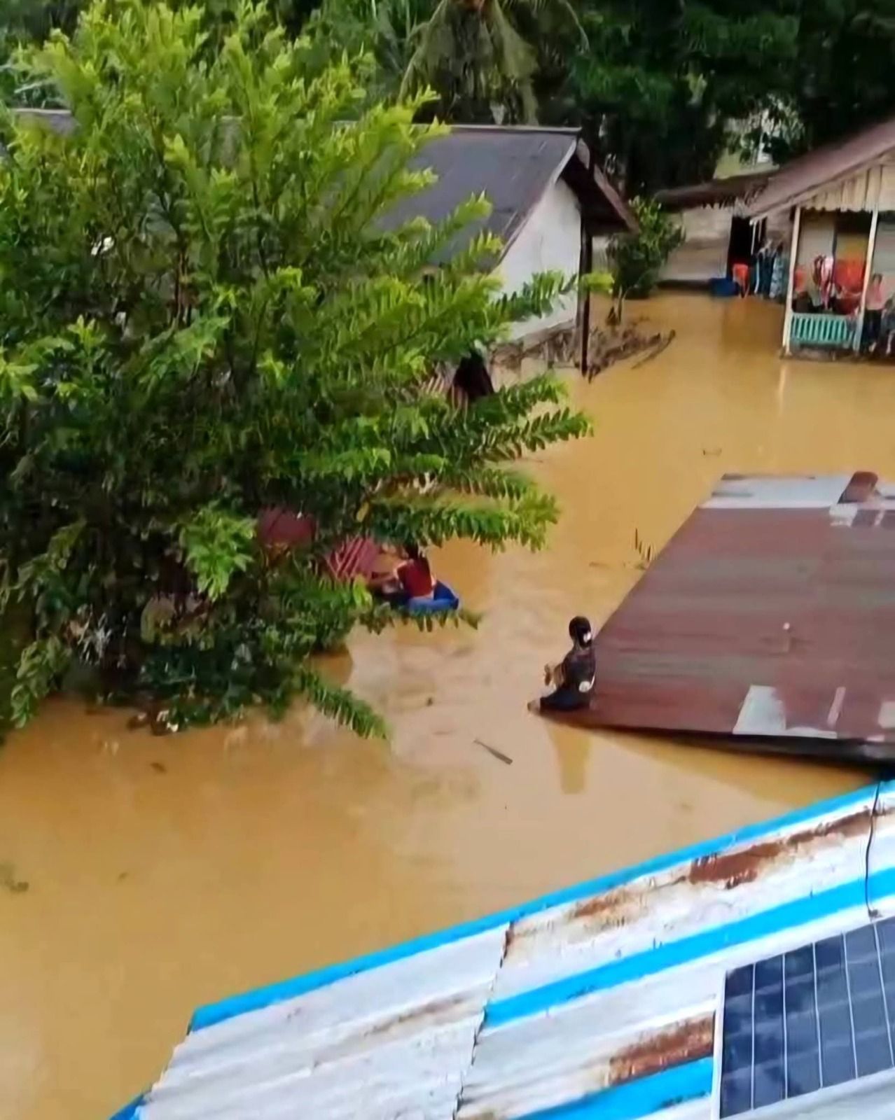 Warga berada di atap rumahnya yang tenggelam karena banjir. (BeritaNasional/BNPB)