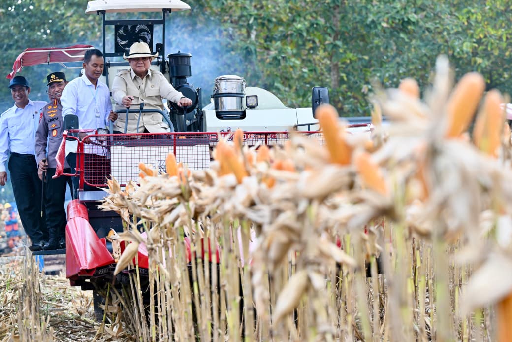 Presiden Prabowo turun langsung ke area panen dan bahkan mengendarai sendiri kendaraan traktor jenis Combine Corn Harvester untuk memanen jagung. (BeritaNasional/Elvis/HO Biro Istana/Kris)