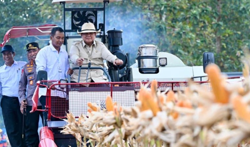 Presiden Prabowo (Foto/Setpres)