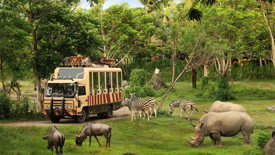 Taman Safari Indonesia. (foto/doc. TSI)
