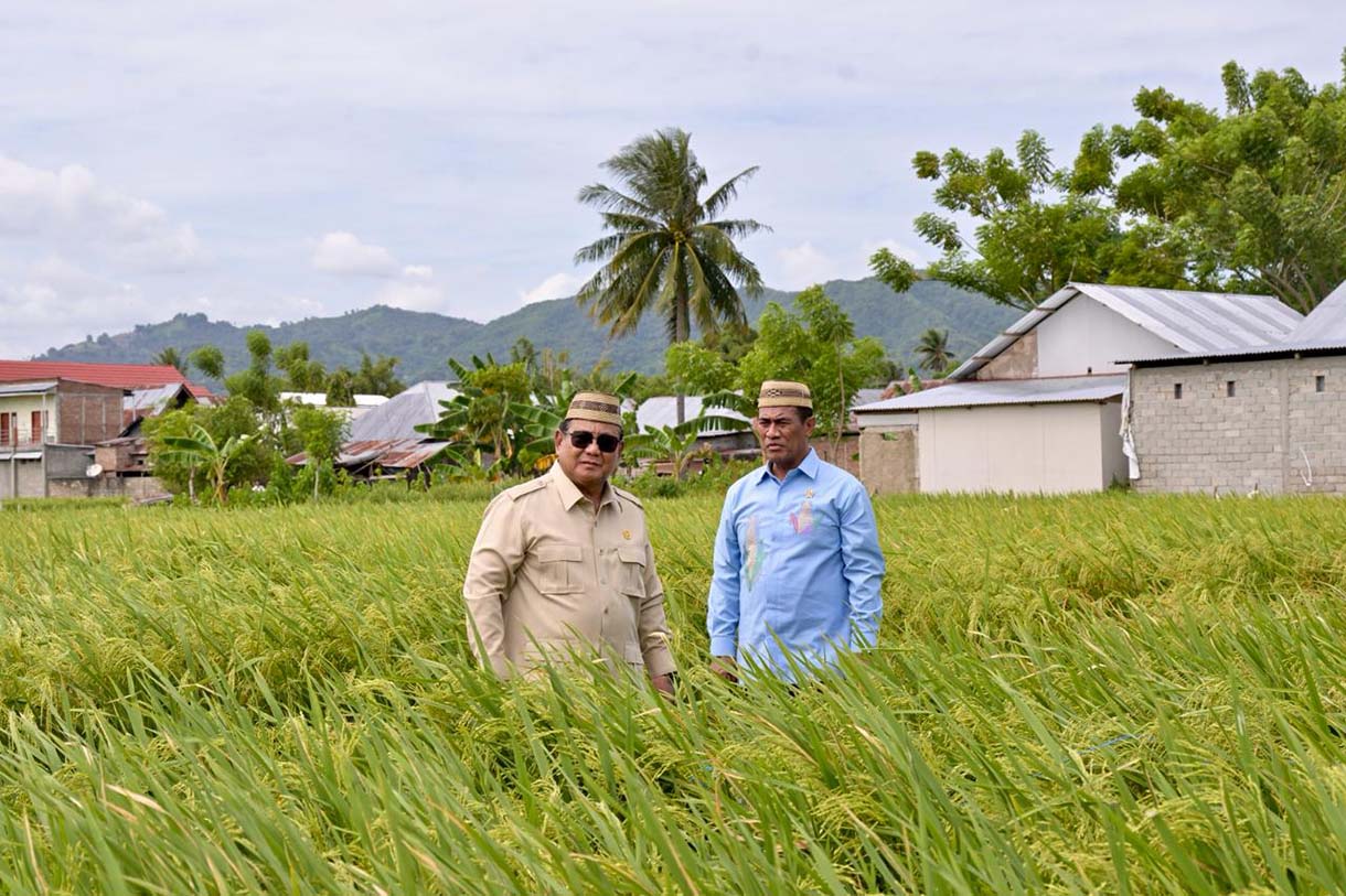 Presiden Prabowo Subianto meninjau Teknologi Budidaya Padi Pertanian Modern Model Advanced Agricultural System (PM-AAS) dalam rangkaian acara Puncak Pekan Nasional (PENAS) Petani dan Nelayan XVII Tahun 2026 di Sport Center Limboto, Kabupaten Gorontalo, Provinsi Gorontalo, pada Rabu (24/6/2026). (Setpers)