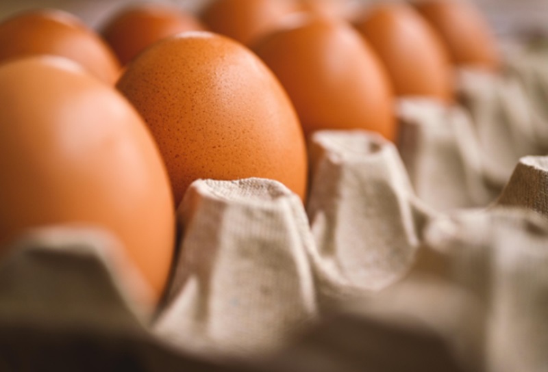 Ilustrasi harga telur anjlok (Foto/Pixabay)