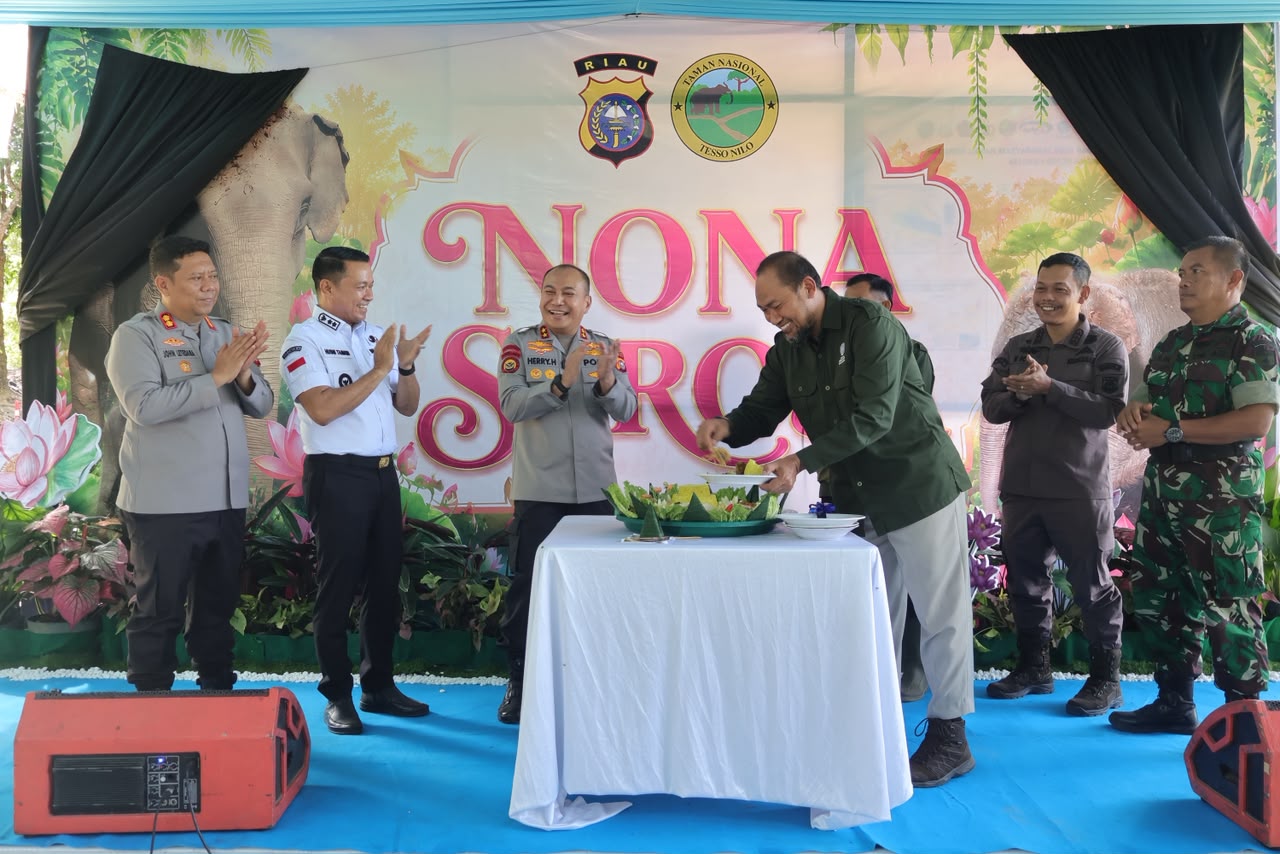 Kapolda Riau Herry Heryawan menamai anak gajah Sumatera betina yang lahir di kawasan Taman Nasional Tesso Nilo (TNTN) 'Nona Seroja'. (BeritaNasional/Humas Polda Riau)