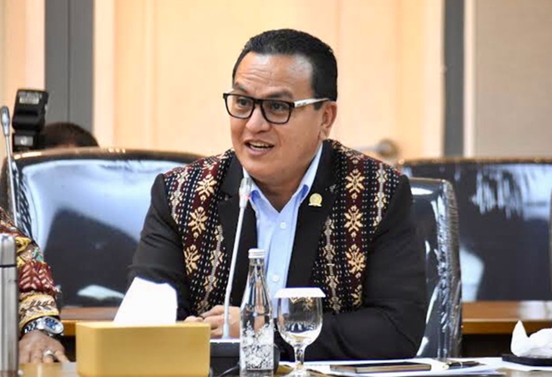 Anggota Pansus RUU HPI DPR RI, Umbu Kabunang Rudi Yanto Hunga (Foto/Fraksi Golkar)