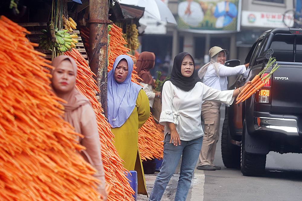 Penjual wortel di sepanjang jalan menuju wisata Taman Safari Indonesia. (BeritaNasional/Elvis Sendouw)