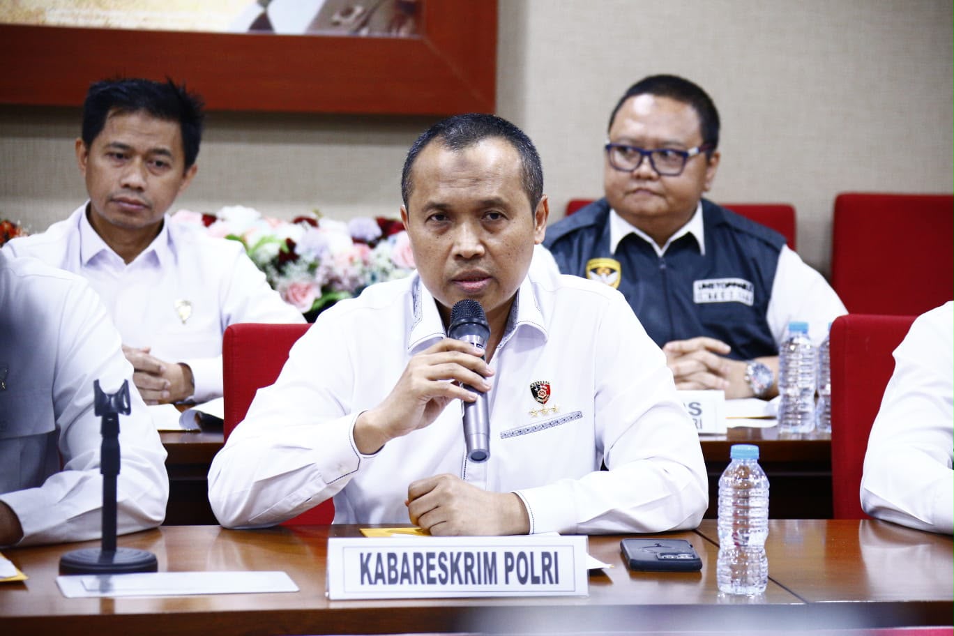 Kabareskrim Polri Komjen Pol. Syahardiantono. (BeritaNasional/Humas Polri)