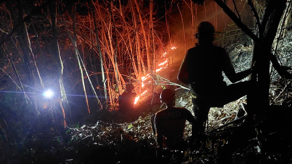 BNPB Ingatkan Ancaman Karhutla saat Puncak Musim Kemarau. (Foto/BNPB)