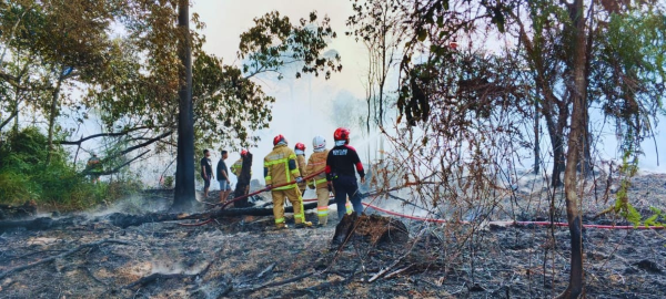 BNPB berupaya memadamkan kebakaran hutan dan lahan di Kalimantan Timur beberapa waktu lalu. (Foto/doc BNPB)