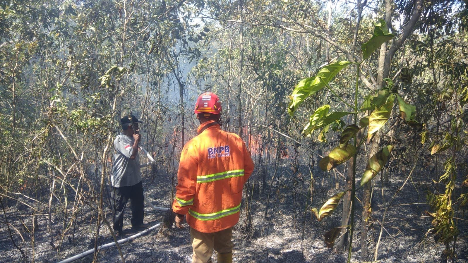 Karhutla jadi masalah serius di Pulau Sumatera. (Foto/BNPB)