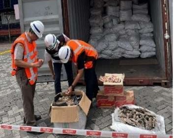 Kemenhut Kejar Jaringan Penyelundupan 3 Ton Sisik Trenggiling. (Foto/istimewa)