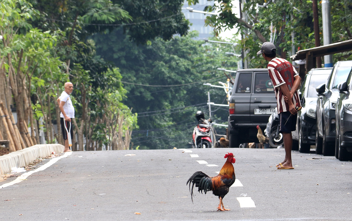 Suasana di Jalan Karet Pasar Baru Barat, Jakarta, Minggu (4/4/2026).Gubernur DKI Jakarta, Pramono Anung, meresmikan Jalan Karet Pasar Baru Barat, Karet Tengsin, Jakarta Pusat (Jakpus). (Beritanasional.com/Oke Atmaja)