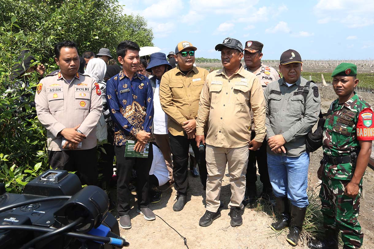 Warga Kuala Selat, Indragiri Hilir, Riau, merawat bibit mangrove di sekitar kebun kelapa yang rusak akibat abrasi laut, Kamis (25/9/2025).  (Beritanasional.com/Oke Atmaja)