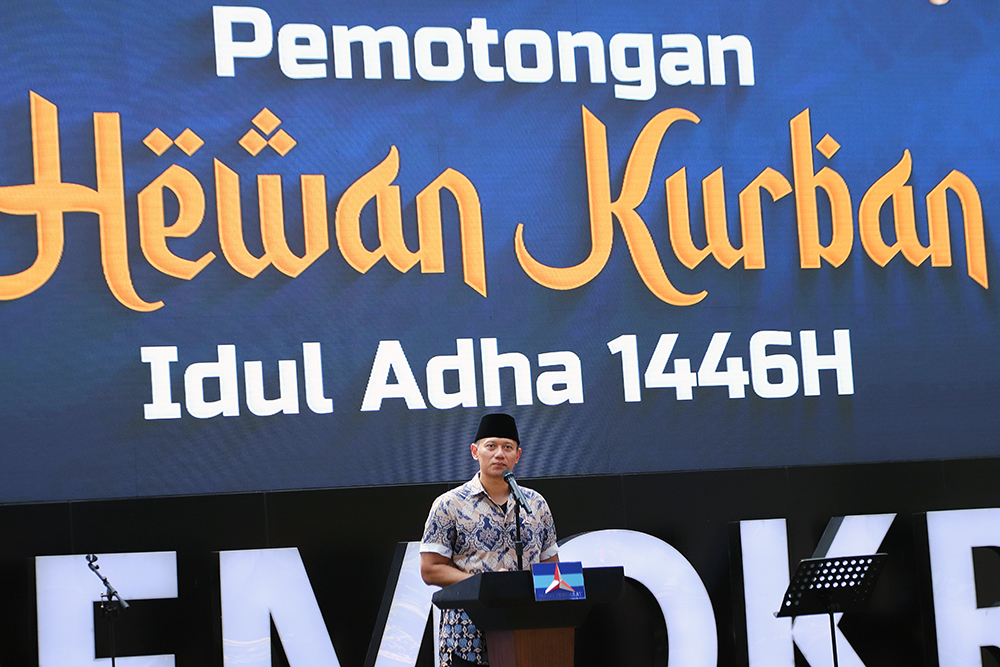 AHY Kurban Sapi 1,2 Ton untuk Dibagikan Warga Sapi kurban seberat 1,2 ton ini diserahkan langsung oleh AHY kepada panitia untuk disembelih. (BeritaNasional/Elvis Sendouw)