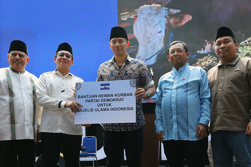 AHY Kurban Sapi 1,2 Ton untuk Dibagikan Warga Sapi kurban seberat 1,2 ton ini diserahkan langsung oleh AHY kepada panitia untuk disembelih. (BeritaNasional/Elvis Sendouw)