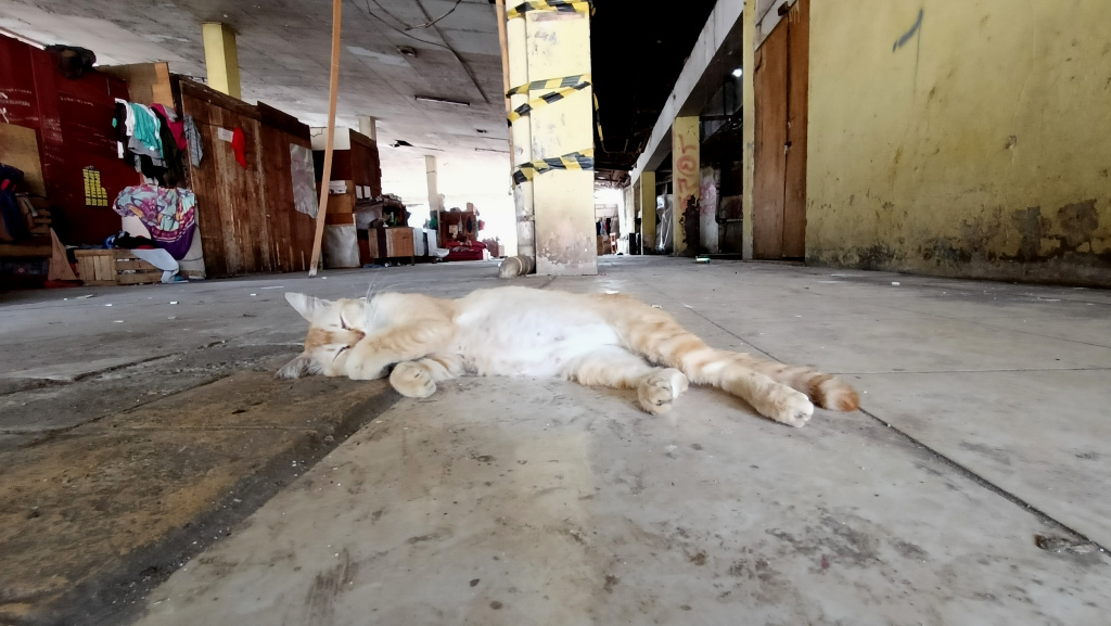 Suasana di pasar gardu asem, Kemayoran, Jakarta, Selasa (22/7/2025).  (Beritanasional.com/ Oke Atmaja)
