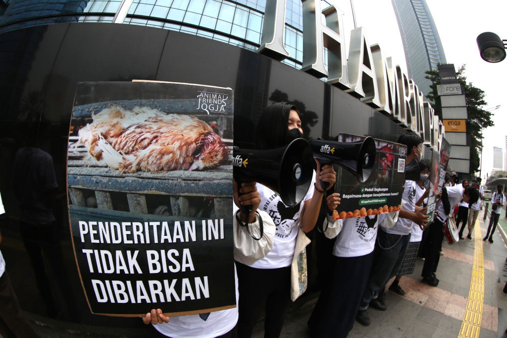 Aktivis yang tergabung dalam koalisi Animal Friends Jogja (AFJ) dan Act for Farmed Animals (AFFA) melakukan aksi di depan salah satu gerai Coffee Shop di kawasan Sudirman, Jakarta, Selasa (21 Juli 2026). (Beritanasional.com/Oke Atmaja)