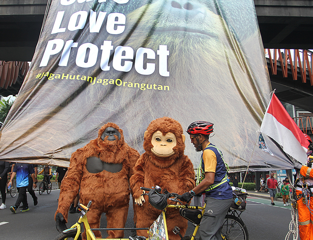 Aktivis Lingkungan Peringati Hari Orangutan Sedunia Peringati Hari Orangutan Sedunia 2025 dalam mendukung perlindungan dan pelestarian populasi satwa satwa langka. (BeritaNasional/Elvis Sendouw)