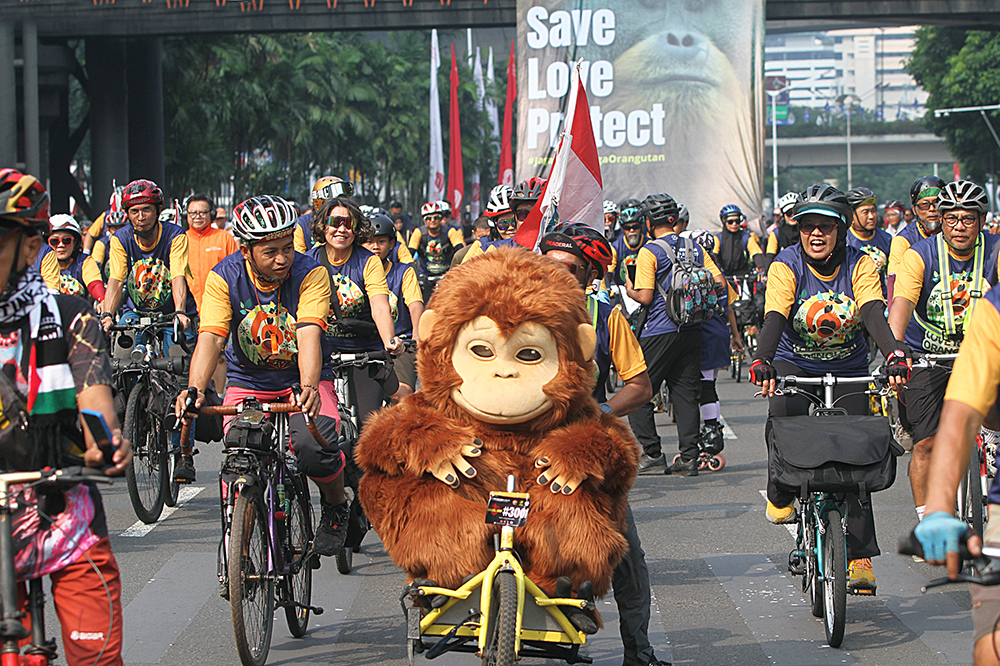 Aktivis Lingkungan Peringati Hari Orangutan Sedunia Peringati Hari Orangutan Sedunia 2025 dalam mendukung perlindungan dan pelestarian populasi satwa satwa langka. (BeritaNasional/Elvis Sendouw)