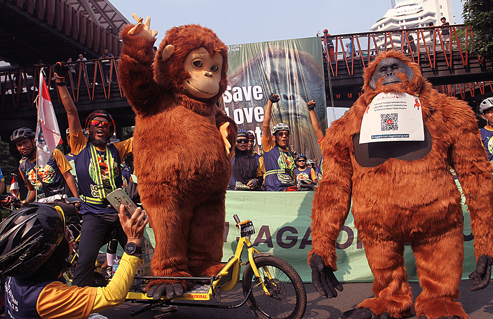 Aktivis Lingkungan Peringati Hari Orangutan Sedunia Peringati Hari Orangutan Sedunia 2025 dalam mendukung perlindungan dan pelestarian populasi satwa satwa langka. (BeritaNasional/Elvis Sendouw)