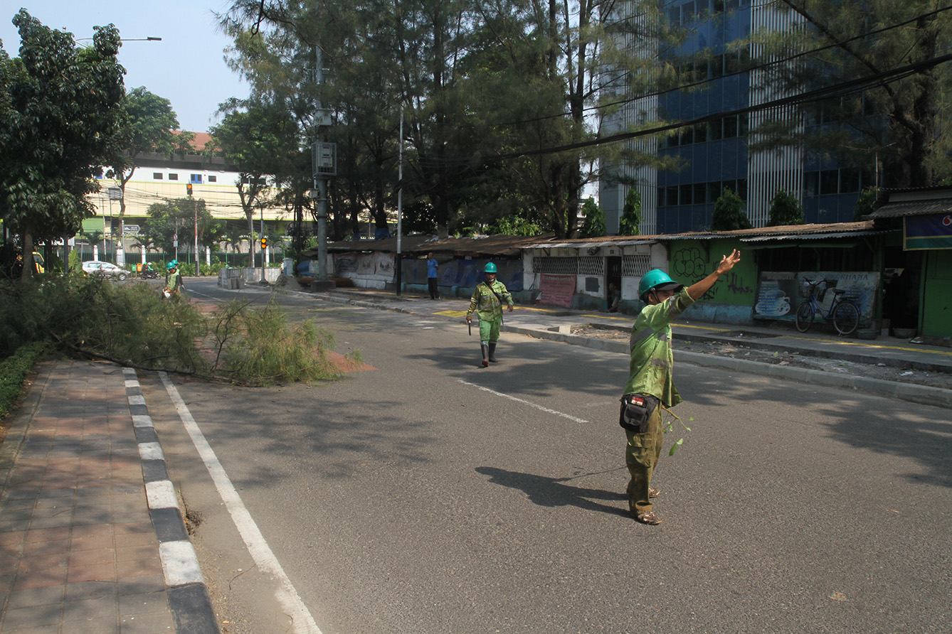 Pekerja memotong pohon di Jalan Merdeka Timur, Gambir, Jakarta, Senin (15/7/2024). (BeritaNasional.com/Oke Atmaja)