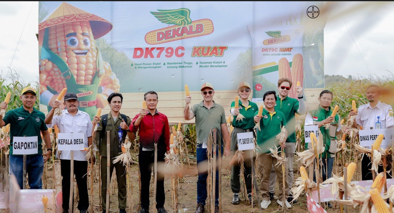 Mateus Barros, Cluster Lead East Asia & Pakistan Bayer Crop Science; Yuchen Li, Country Commercial Lead Bayer Crop Science Indonesia dan Malaysia bersama petani SOBAT Bayer dan Dekalb Ambassador di Bayer JUARA, di Klaten, Jawa Tengah.  Bayer JUARA sebagai pusat Riset Pengembangan R&D Bayer Crop Science terbesar ke-2 di Asia Pasifik  memberikan pendampingan budi daya pertanian dan penanganan hama penyakit tanaman untuk meningkatkan kualitas hasil dan produktivitas petani jagung. (BeritaNasional/Elvis/HO)
