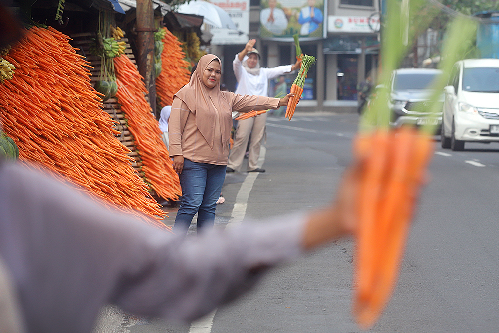 Penjual wortel di sepanjang jalan menuju wisata Taman Safari Indonesia. (BeritaNasional/Elvis Sendouw)