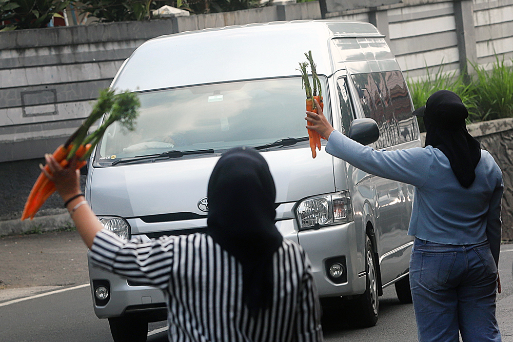 Penjual wortel di sepanjang jalan menuju wisata Taman Safari Indonesia. (BeritaNasional/Elvis Sendouw)