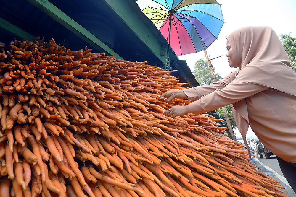 Penjual wortel di sepanjang jalan menuju wisata Taman Safari Indonesia. (BeritaNasional/Elvis Sendouw)