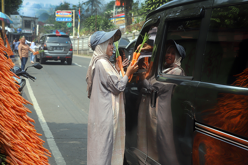 Penjual wortel di sepanjang jalan menuju wisata Taman Safari Indonesia. (BeritaNasional/Elvis Sendouw)