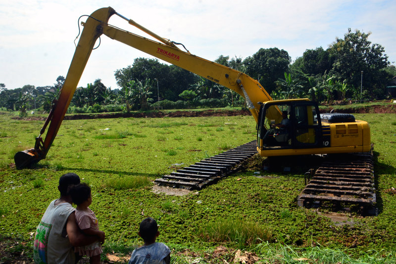 Bersihkan Gulma Eceng Gondok di Setu Sawangan Tumbuhan air gulma eceng gondok yang dianggap menggangu. (BeritaNasional/Elvis Sendouw)