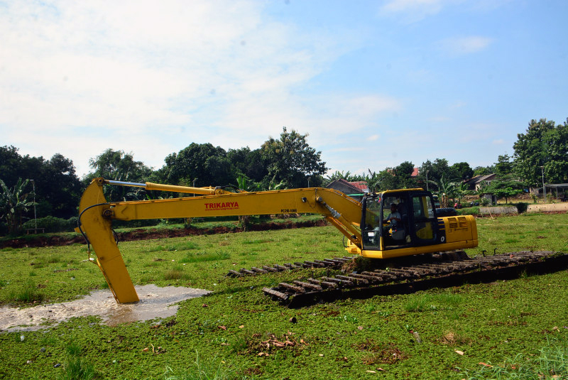 Bersihkan Gulma Eceng Gondok di Setu Sawangan Tumbuhan air gulma eceng gondok yang dianggap menggangu. (BeritaNasional/Elvis Sendouw)