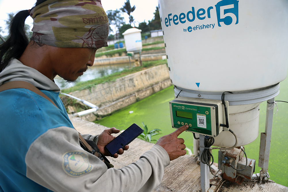 Pekerja menyiapkan pemberian makan ikan dengan sistem aplikasi eFeeder. (BeritaNasional/Elvis Sendouw)