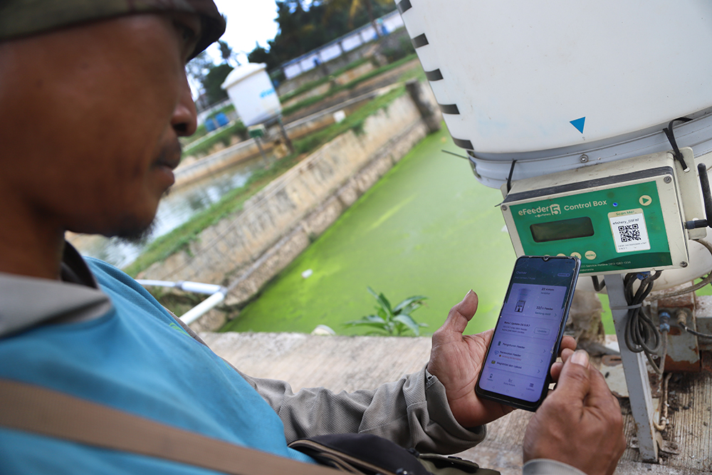 Pekerja menyiapkan pemberian makan ikan dengan sistem aplikasi eFeeder. (BeritaNasional/Elvis Sendouw)