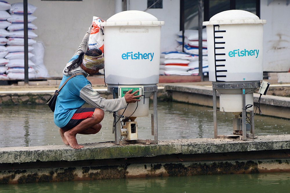 Pekerja menyiapkan pemberian makan ikan dengan sistem aplikasi eFeeder. (BeritaNasional/Elvis Sendouw)