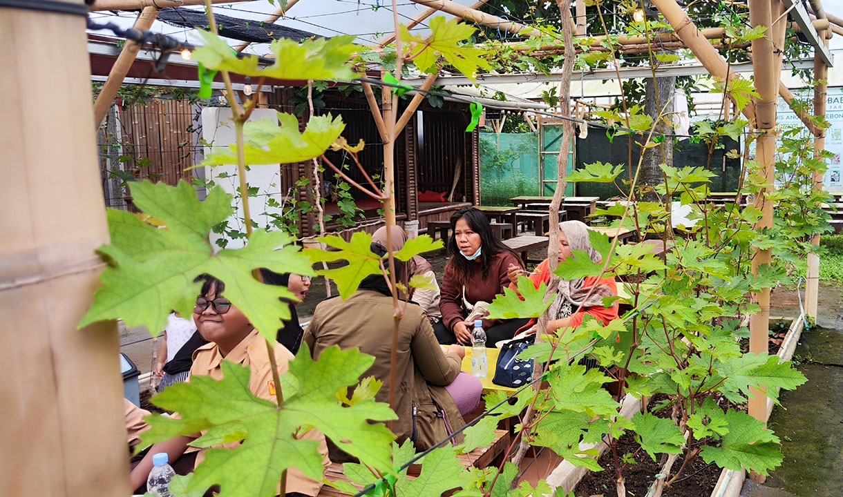 Pengunjung memetik buah anggur di Kebon Baba Cafe & Garden, Ciganjur, Jakarta, Selasa (11/2/2025). (Beritanasional.com/Oke Atmaja)