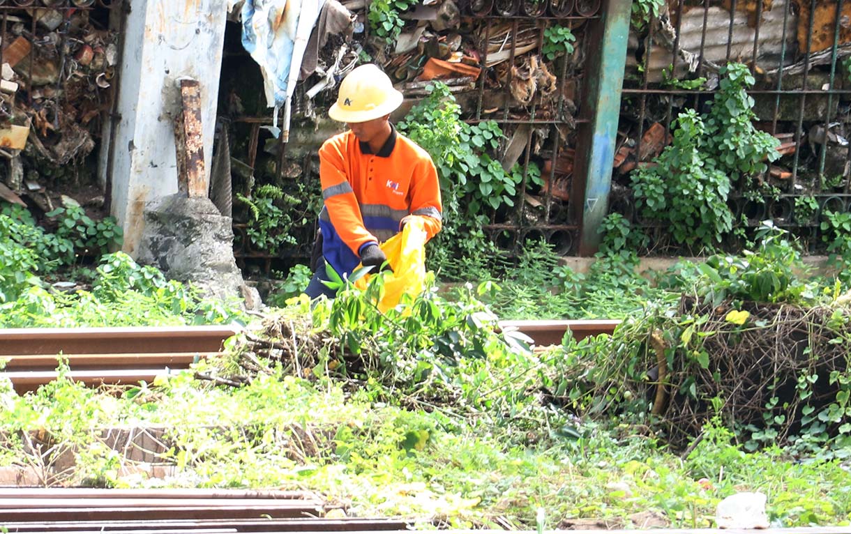 Petugas KAI menoping pohon samping rel kereta api di Kawasan stasiun Manggarai Jakarta,Kamis (18/12/2025). (Beritanasional.com/Oke Atmaja)