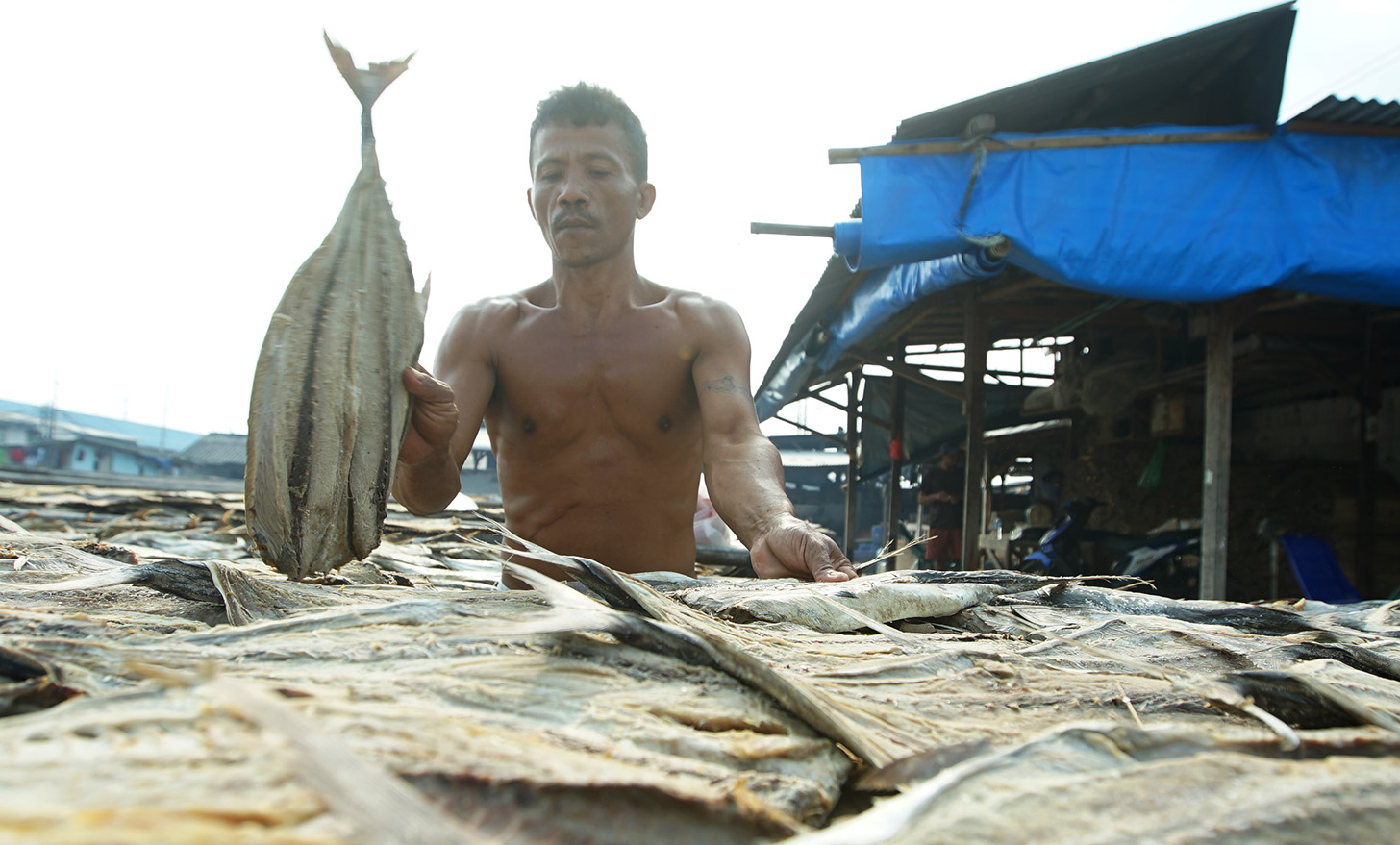 Pekerja menjemur ikan asin di kawasan Muara Angke, Jakarta, Selasa (23/4/2024). (BeritaNasional.com/Oke Atmaja)