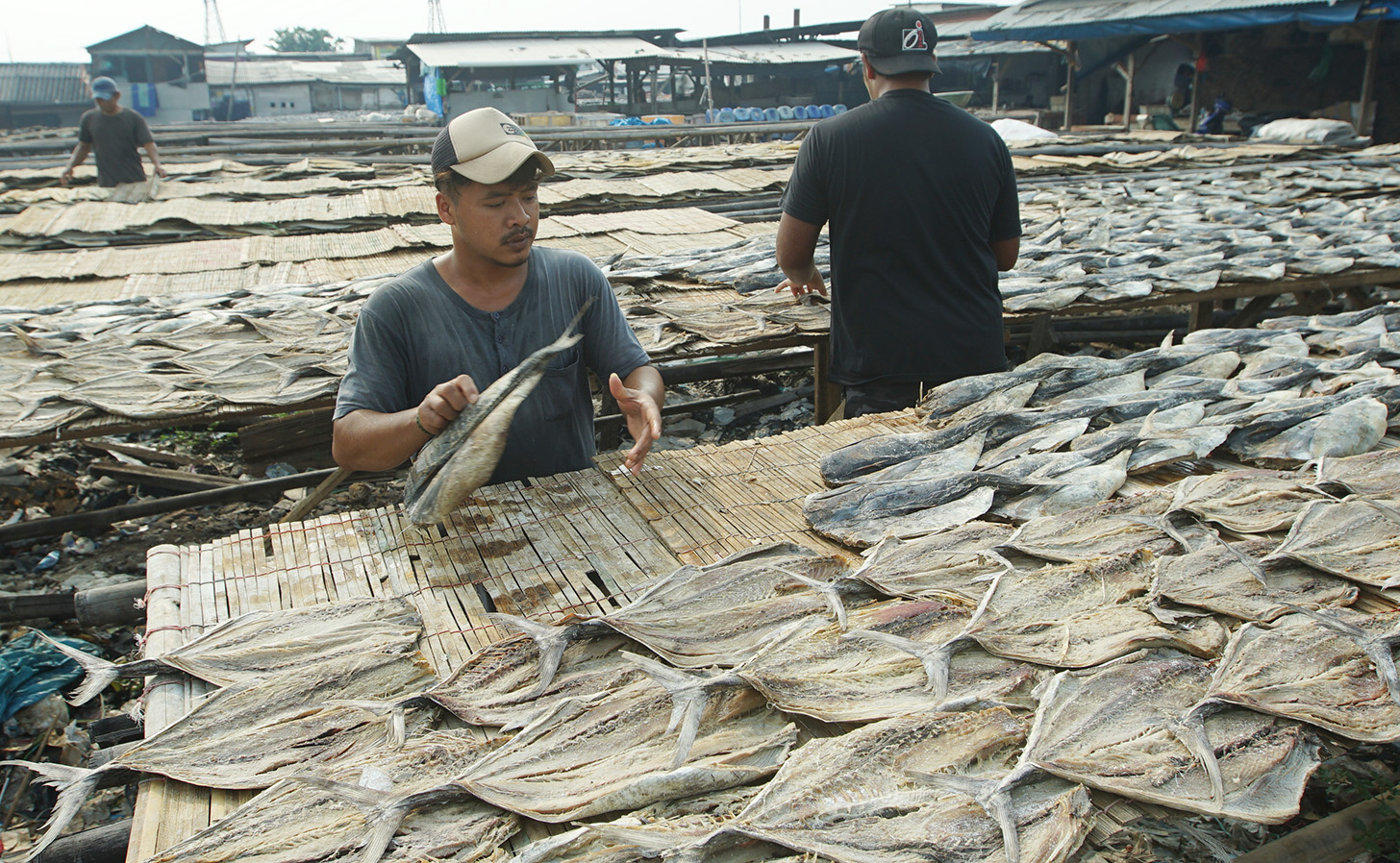 Pekerja menjemur ikan asin di kawasan Muara Angke, Jakarta, Selasa (23/4/2024). (BeritaNasional.com/Oke Atmaja)