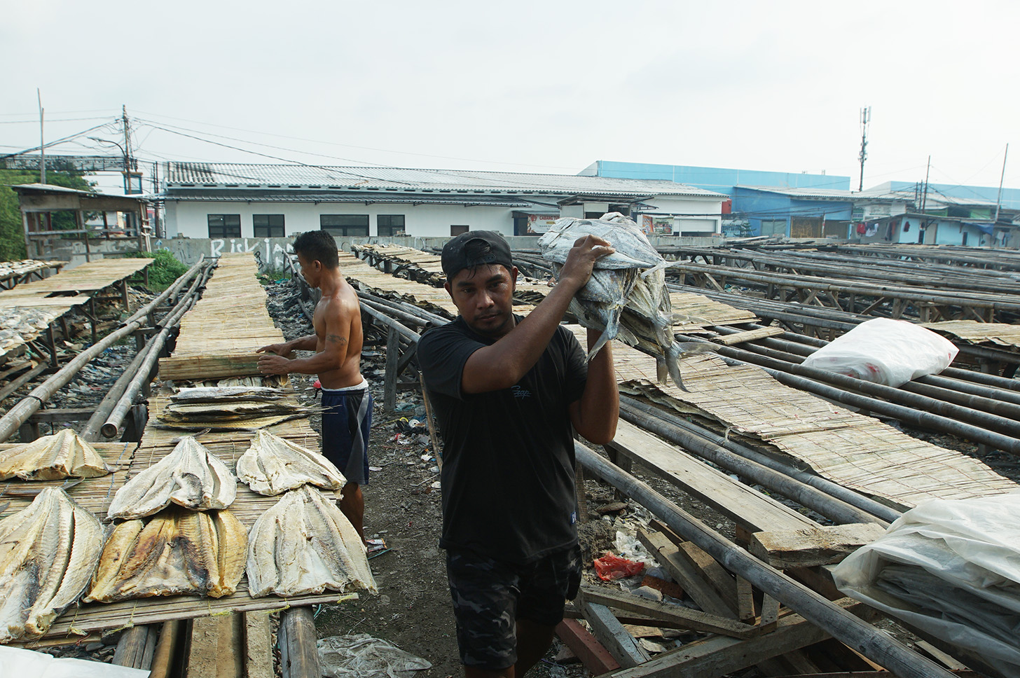 Pekerja menjemur ikan asin di kawasan Muara Angke, Jakarta, Selasa (23/4/2024). (BeritaNasional.com/Oke Atmaja)