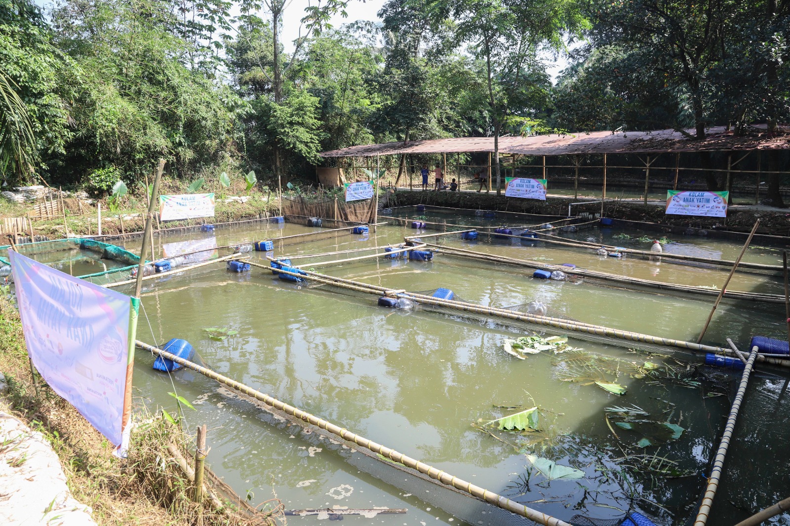 Wartawan Mancing Indonesia (WMI) gelar pelatihan dan launching kolam budidaya ikan bawal air tawar untuk wartawan, umum dan santunan anak yatim, lansia serta fun fishing antar media, korporasi untuk dukung Asta Cita Presiden Prabowo Subianto. (BeritaNasional/Elvis Sendouw)