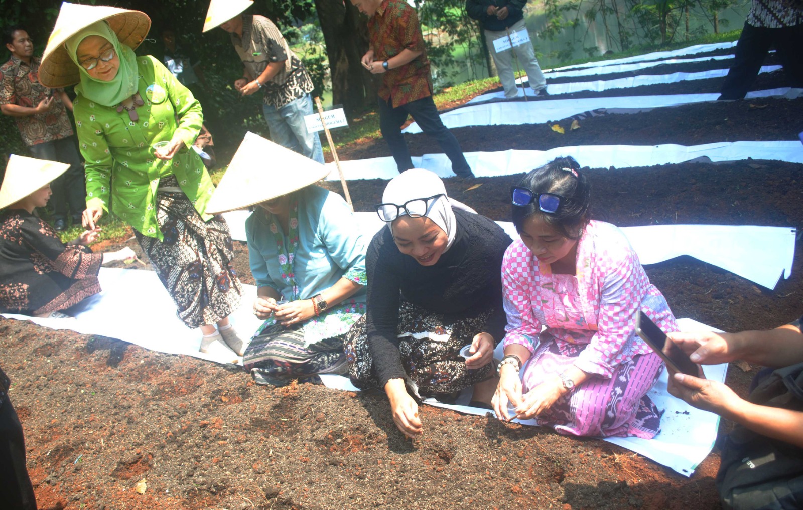 Pusat Penelitian Kemasyarakatan dan Budaya (PPKB) Fakultas Ilmu Pengetahuan Budaya Universitas Indonesia (FIB UI) melakukan tanam Sorgum. (BeritaNasional/Elvis Sendouw/HO FIB UI)