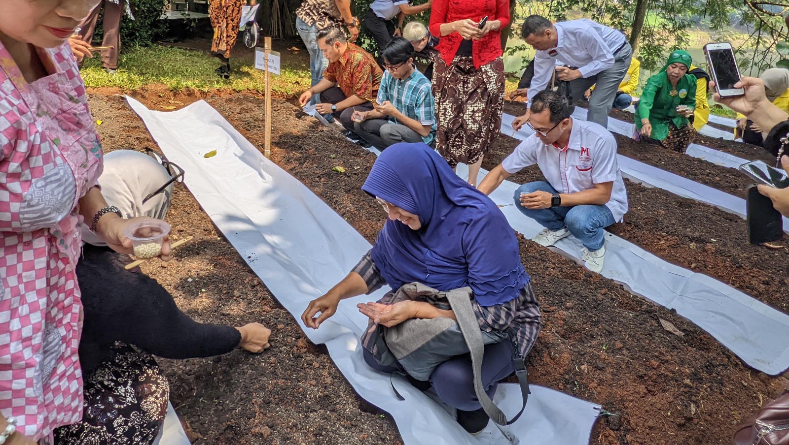 Pusat Penelitian Kemasyarakatan dan Budaya (PPKB) Fakultas Ilmu Pengetahuan Budaya Universitas Indonesia (FIB UI) melakukan tanam Sorgum. (BeritaNasional/Elvis Sendouw/HO FIB UI)