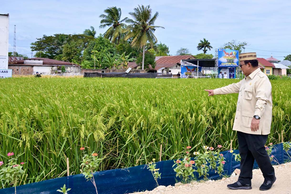 Presiden Prabowo Subianto meninjau Teknologi Budidaya Padi Pertanian Modern Model Advanced Agricultural System (PM-AAS) dalam rangkaian acara Puncak Pekan Nasional (PENAS) Petani dan Nelayan XVII Tahun 2026 di Sport Center Limboto, Kabupaten Gorontalo, Provinsi Gorontalo, pada Rabu (24/6/2026). (Setpers)