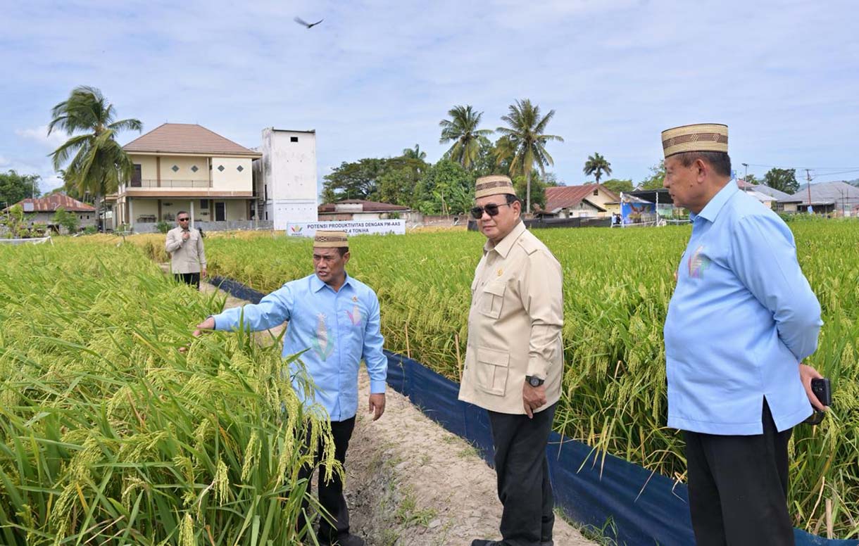Presiden Prabowo Subianto meninjau Teknologi Budidaya Padi Pertanian Modern Model Advanced Agricultural System (PM-AAS) dalam rangkaian acara Puncak Pekan Nasional (PENAS) Petani dan Nelayan XVII Tahun 2026 di Sport Center Limboto, Kabupaten Gorontalo, Provinsi Gorontalo, pada Rabu (24/6/2026). (Setpers)